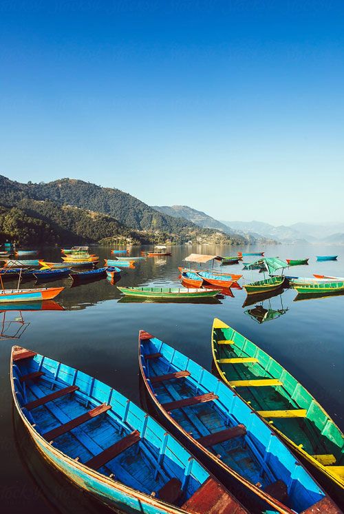 Boats at Phewa lake