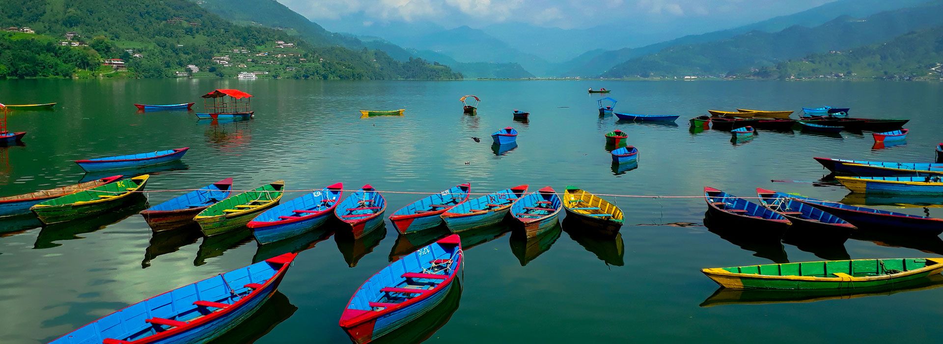 Boats at Phewa Lake